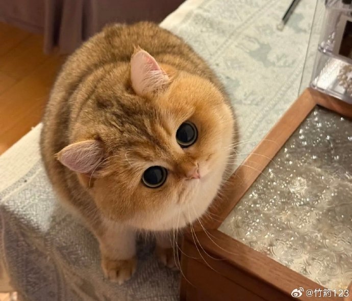 灵感合集 — 国风新声 封面